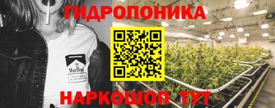 амф Котовск