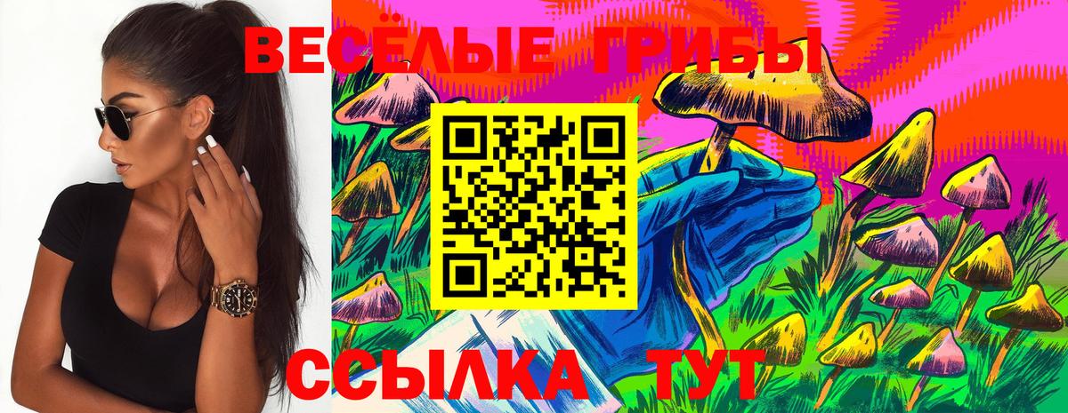 наркотики  Вход с VPN  Гулькевичи  Псилоцибиновые грибы мухоморы 