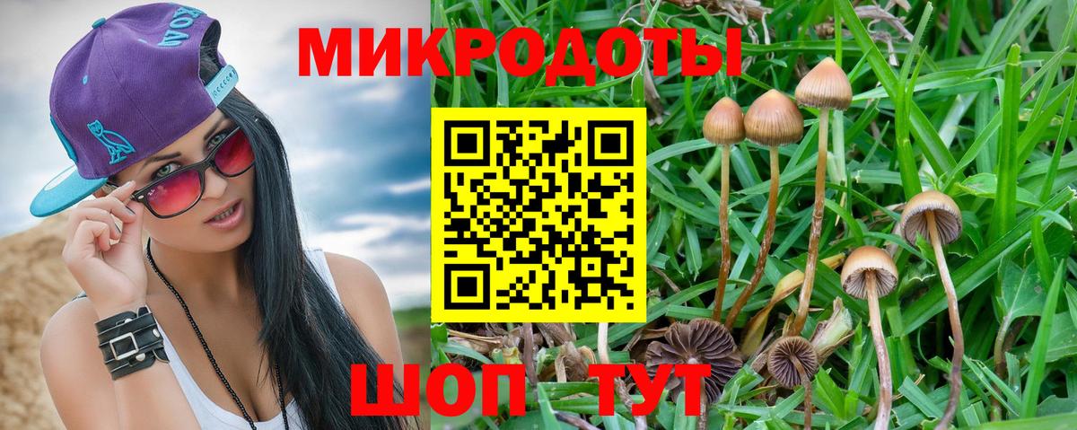 Галлюциногенные грибы ЛСД Гулькевичи